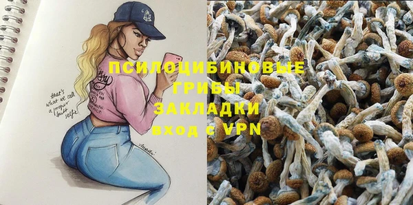 крисы Абинск